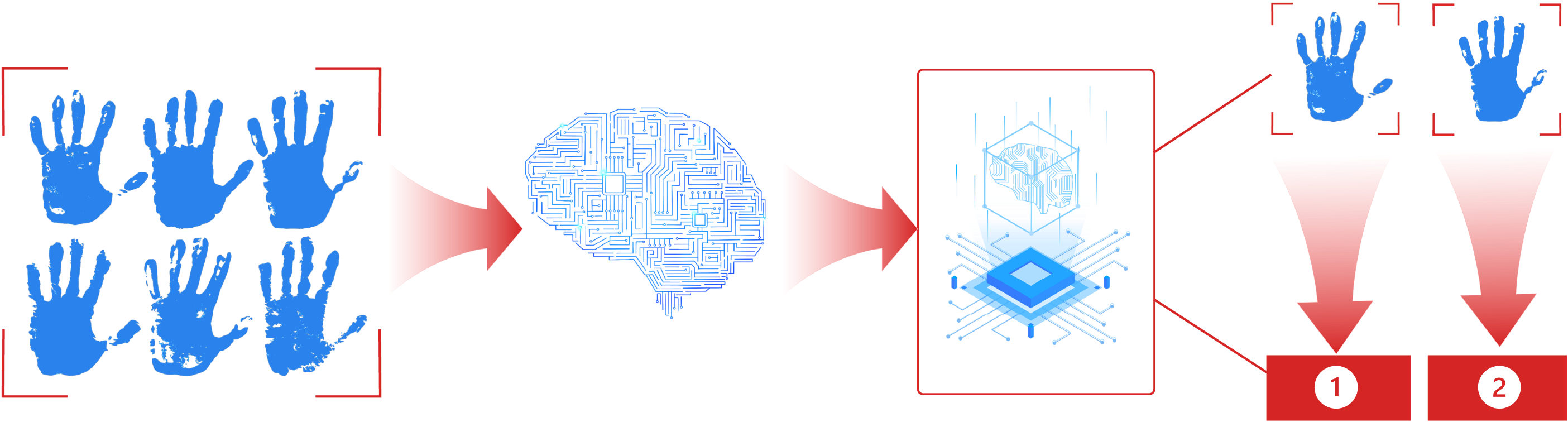 Palm Vein Authentication Flow